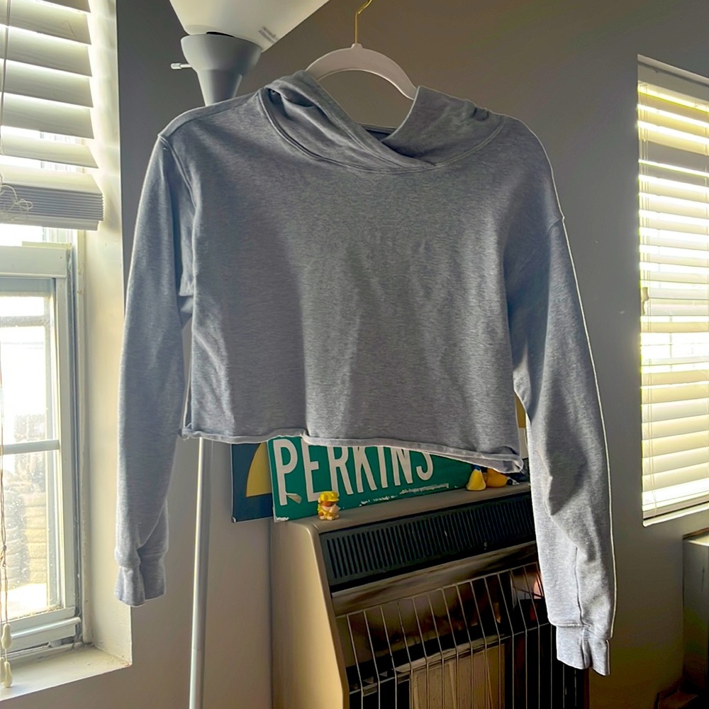 Gray cropped sweatshirt